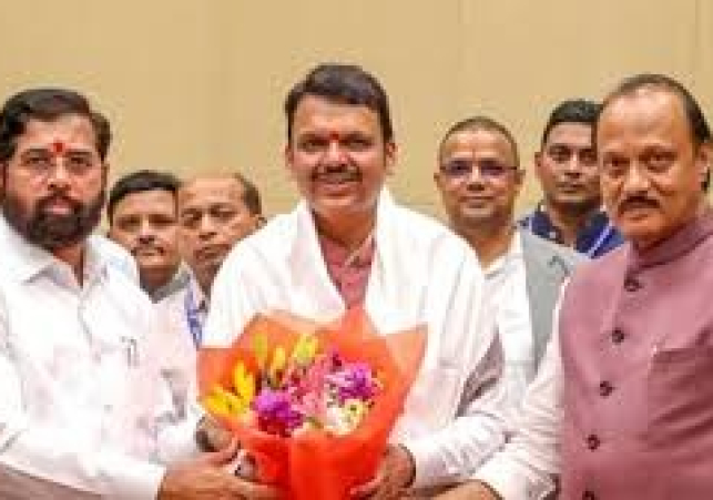 Maharashtra Portfolio Distribution
