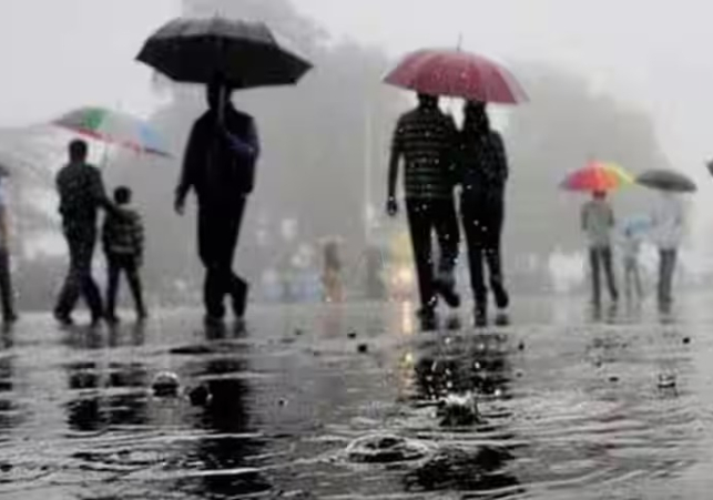 Tamil Nadu Rain