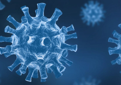 Corona Virus