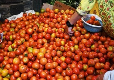 Tomato Price